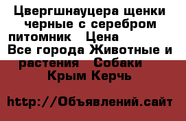 Цвергшнауцера щенки черные с серебром питомник › Цена ­ 30 000 - Все города Животные и растения » Собаки   . Крым,Керчь